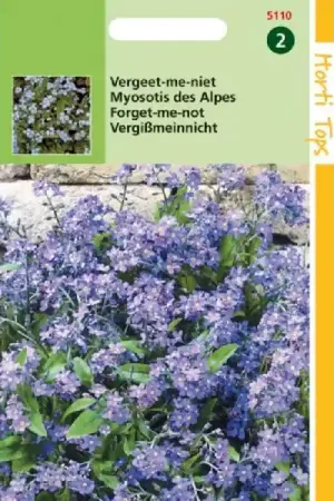 HT MYOSOTIS, VERGEET-ME-NIETJE BLAUW | Erg populair