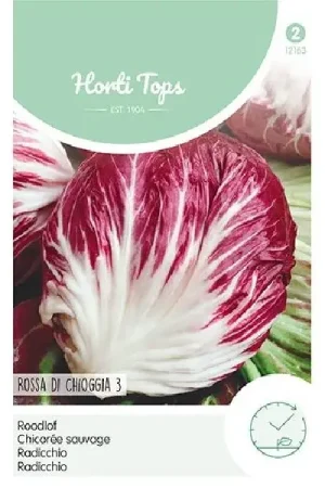 Direct kopen - HT Radicchio Rossa Di Chioggia (Palla Rossa)