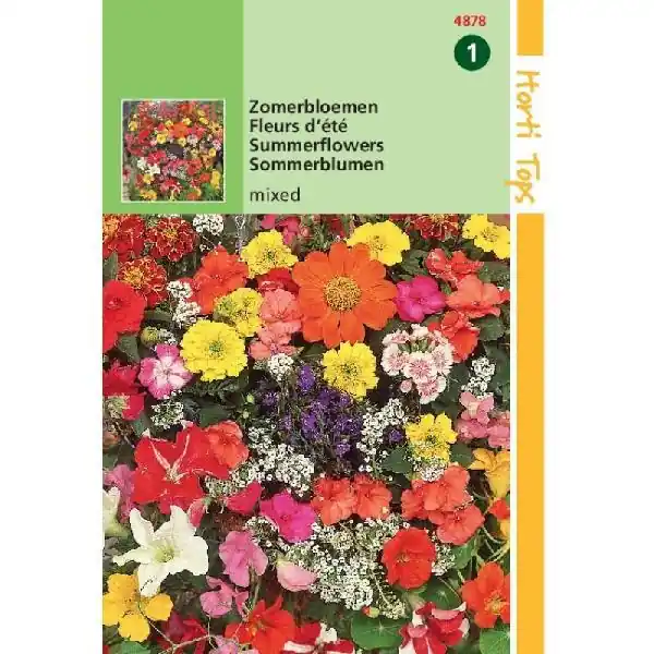 HT ZOMERBLOEMEN GEMENGD | Net gelanceerd